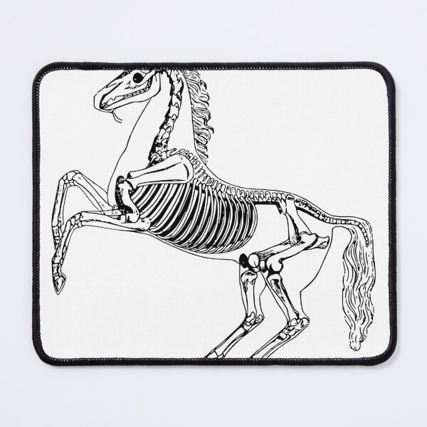 Item preview, Skeleton Horse designed and sold by IvekDesigns.