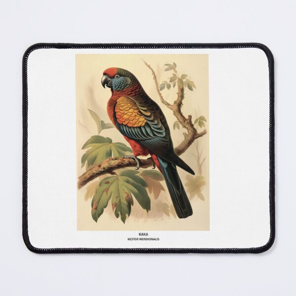 Item preview, Birds of New Zealand - Kaka Parrot designed and sold by randomorder.
