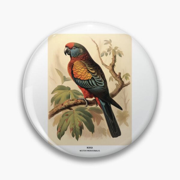 Item preview, Birds of New Zealand - Kaka Parrot designed and sold by randomorder.