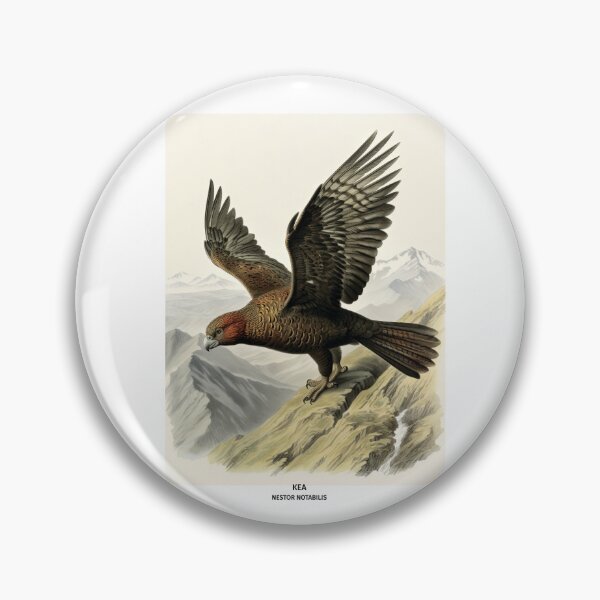 Item preview, Birds of New Zealand - Kea designed and sold by randomorder.