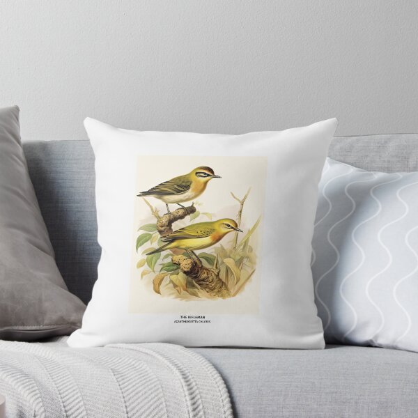Item preview, Birds of New Zealand - The Rifleman designed and sold by randomorder.