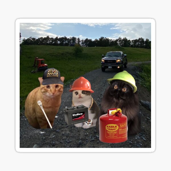 Item preview, The boys designed and sold by Catwithhardhat.