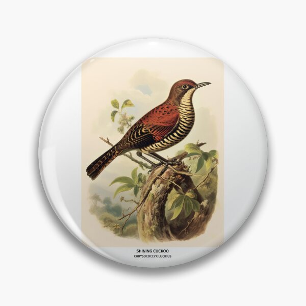 Item preview, Birds of New Zealand - Shining Cuckoo designed and sold by randomorder.