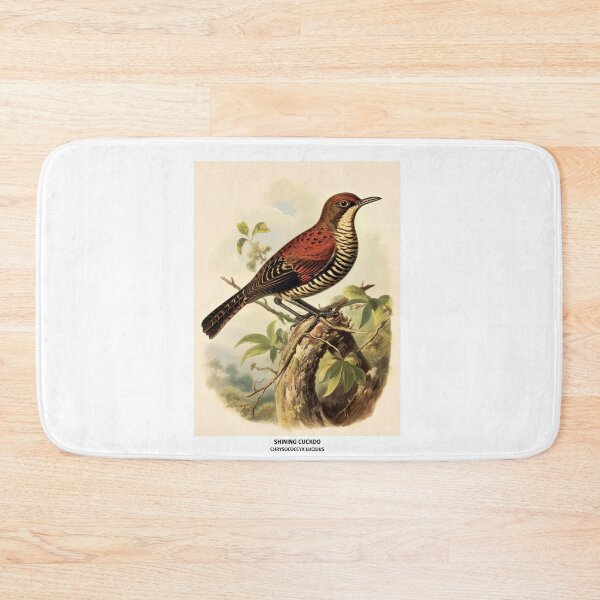 Item preview, Birds of New Zealand - Shining Cuckoo designed and sold by randomorder.