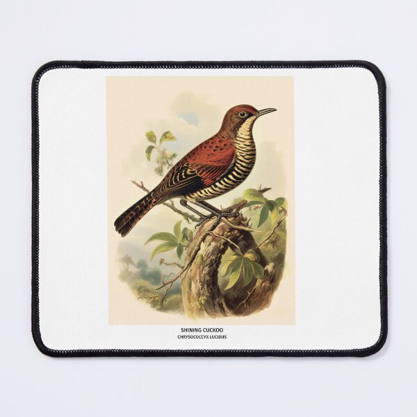 Item preview, Birds of New Zealand - Shining Cuckoo designed and sold by randomorder.