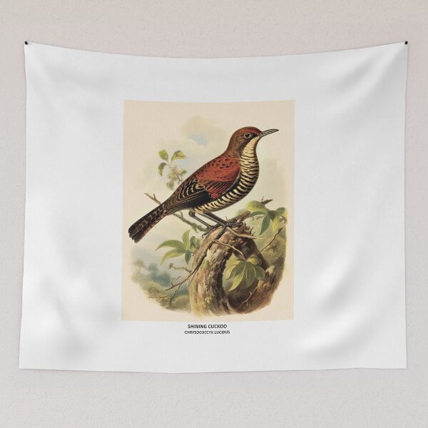 Item preview, Birds of New Zealand - Shining Cuckoo designed and sold by randomorder.