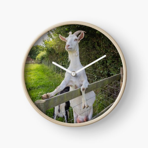 Hello Goat Clock