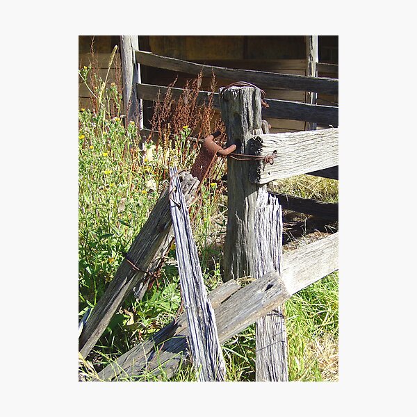 Fencepost Photographic Print