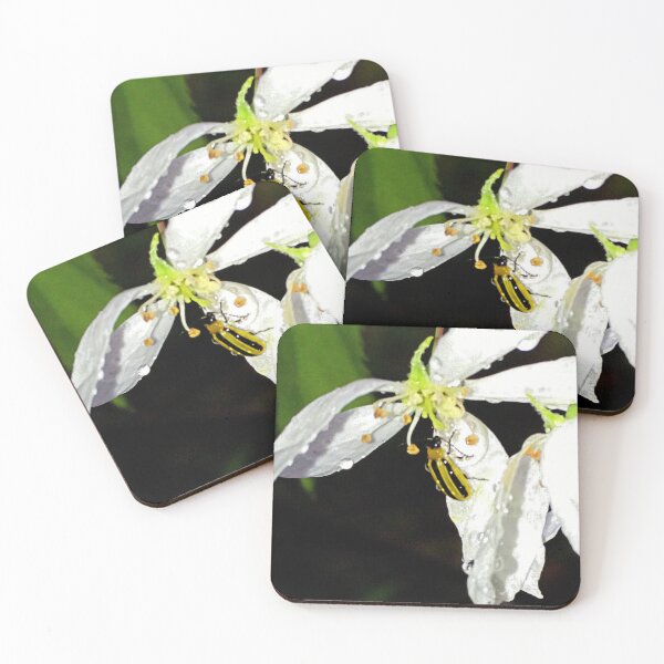 Item preview, Cucumber Beetle on Flower designed and sold by Kissara.