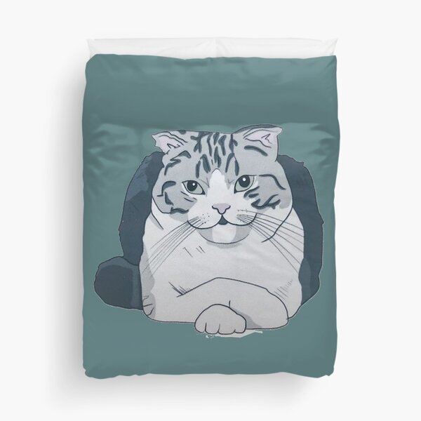 MEREDITH AND OLIVIA bed cover taylor swift (double) $175.00