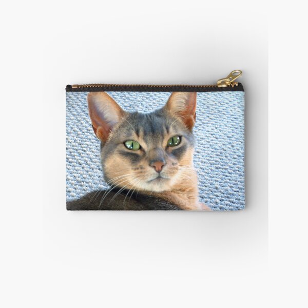 Item preview, Generic Abyssinian Blue Male Cat  designed and sold by Stone Bandana.