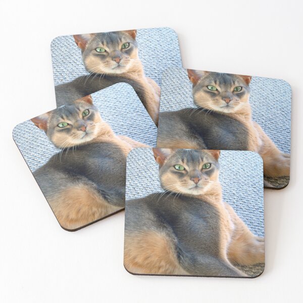 Item preview, Generic Abyssinian Blue Male Cat  designed and sold by Stone Bandana.