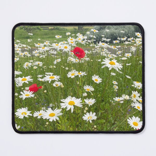 Item preview, English Wild Flowers - Ox-eye Daisies and Poppies designed and sold by Violaman.