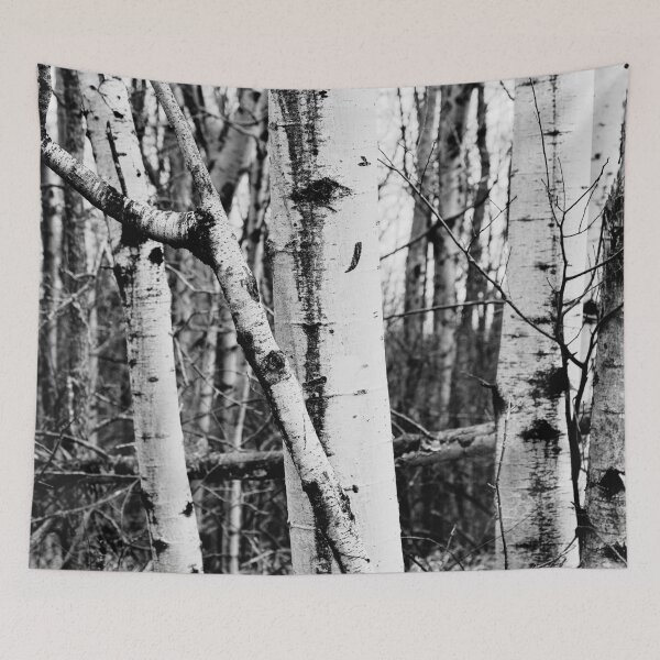 Item preview, Black & White Photography - Birch Trees  designed and sold by bauerandbale.