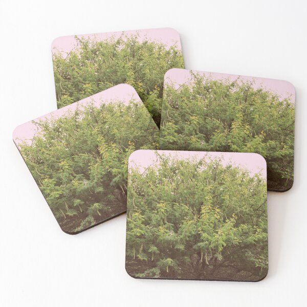Item preview, Scented Pod Acacia designed and sold by FeralMinds.