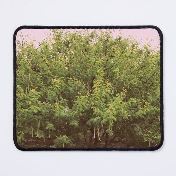 Item preview, Scented Pod Acacia designed and sold by FeralMinds.