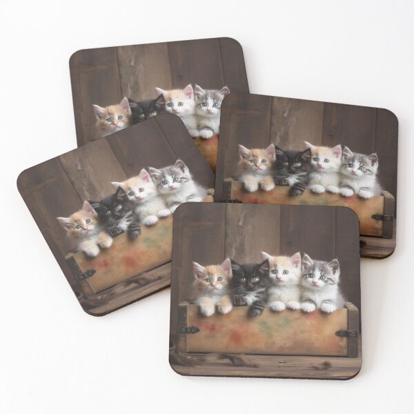 Item preview, Kitten Haven: Tales of Love and Wonder in a Wooden Box designed and sold by luvablelifeform.
