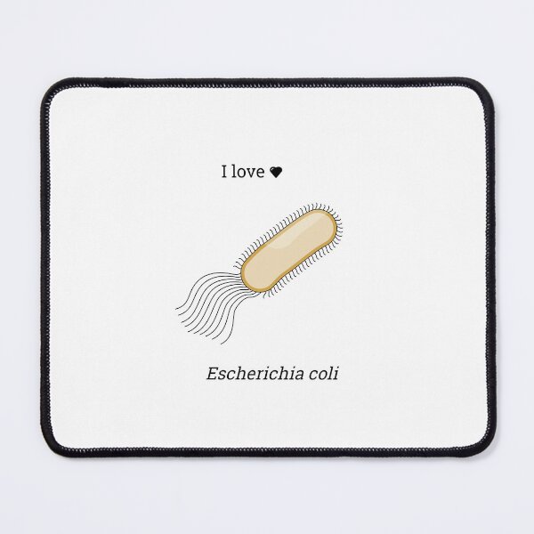 Item preview, Escherichia coli designed and sold by Witty-Biotech.
