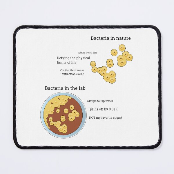 Item preview, Bacteria in nature vs in the lab designed and sold by Witty-Biotech.