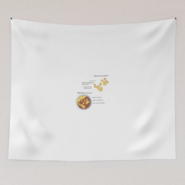 Item preview, Bacteria in nature vs in the lab designed and sold by Witty-Biotech.