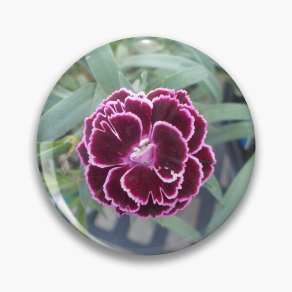 Item preview, Pink and dark purple red flower - Original Photography designed and sold by JulienneJc.