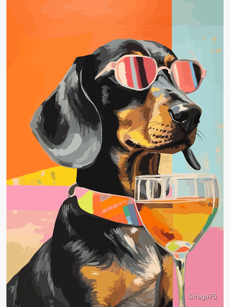 Dachshund with cheap sunglasses