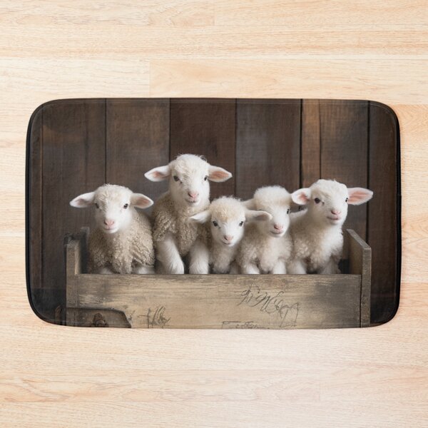 Item preview, Lamb Haven: Tales of Love and Wonder in a Wooden Box designed and sold by luvablelifeform.