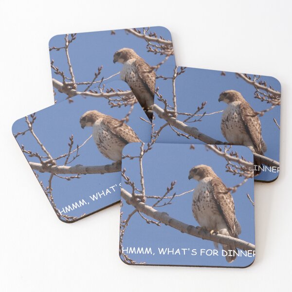 Item preview, HUNGRY HAWK designed and sold by Judy Geller.