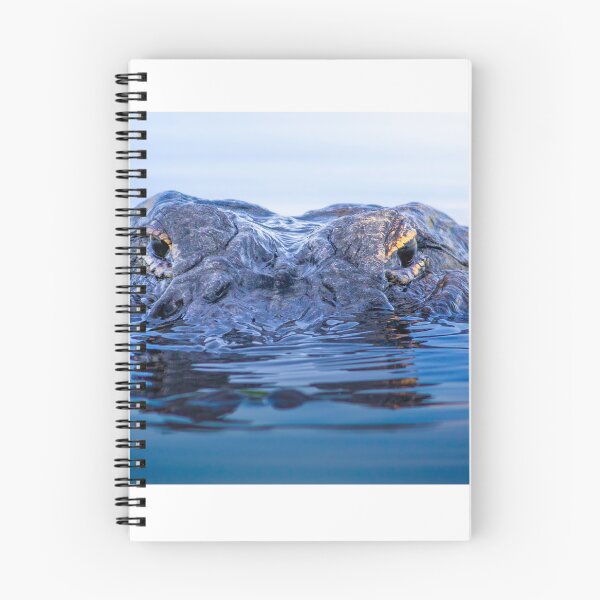 Item preview, Eyes of the Everglades designed and sold by VisualVoyages.