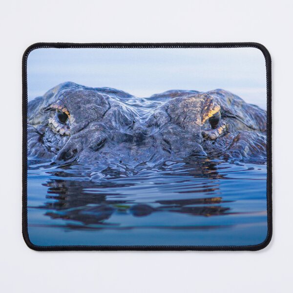 Item preview, Eyes of the Everglades designed and sold by VisualVoyages.
