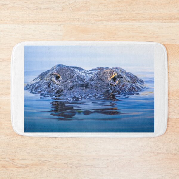Item preview, Eyes of the Everglades designed and sold by VisualVoyages.