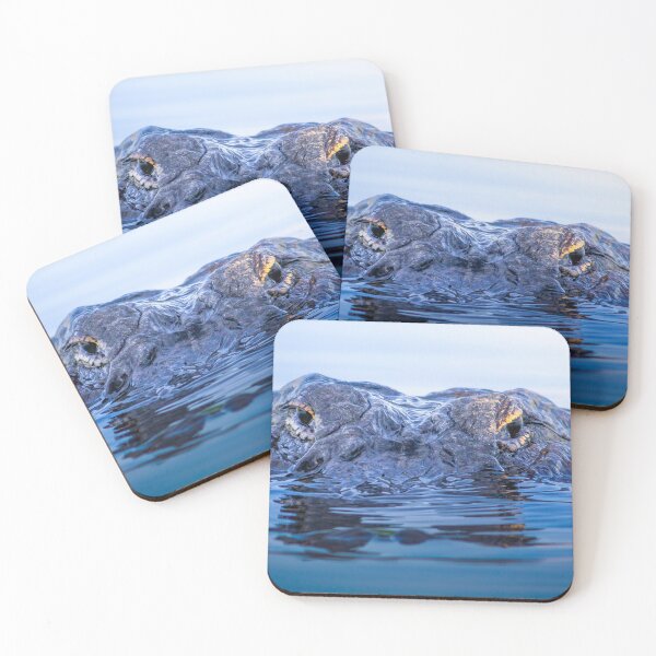 Item preview, Eyes of the Everglades designed and sold by VisualVoyages.