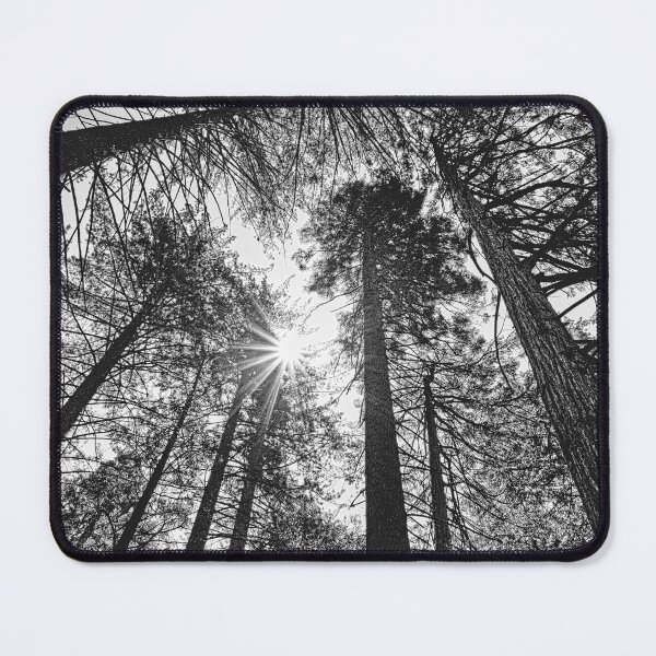 Item preview, Calaveras Big Trees State Park designed and sold by Alex Preiss.