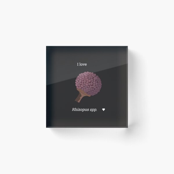 Item preview, I love Rhizopus (white) designed and sold by Witty-Biotech.