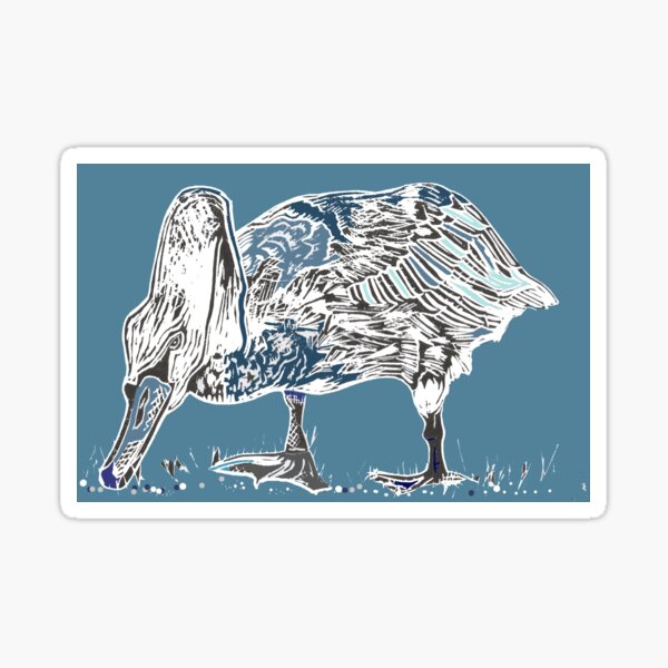 Swan lino cut Tamar blue Sticker