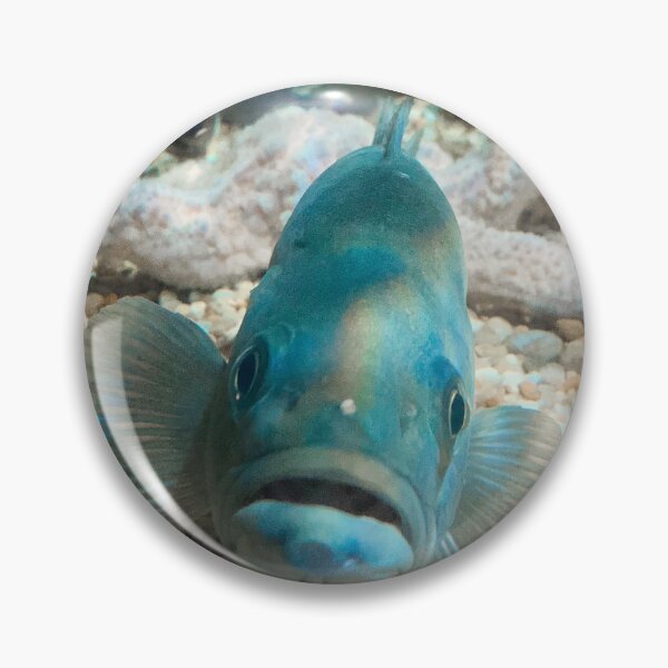 Item preview, Im lookin' at you Fish designed and sold by lisbethfrias.