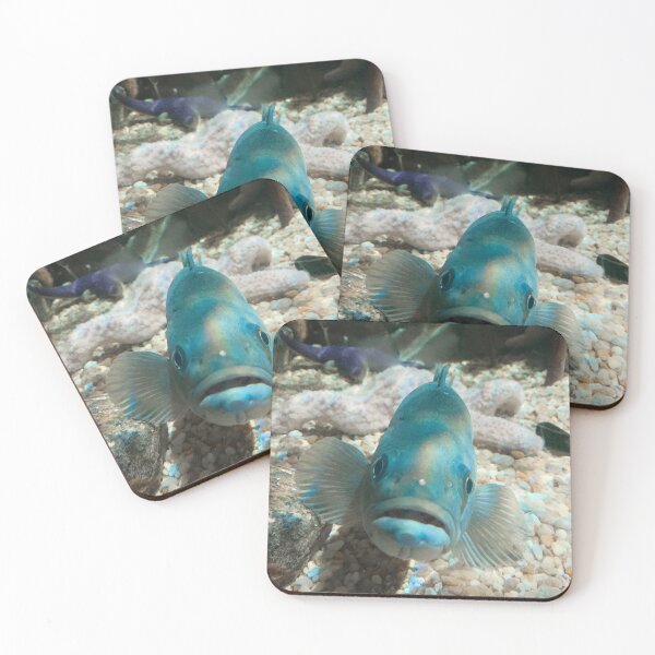 Item preview, Im lookin' at you Fish designed and sold by lisbethfrias.