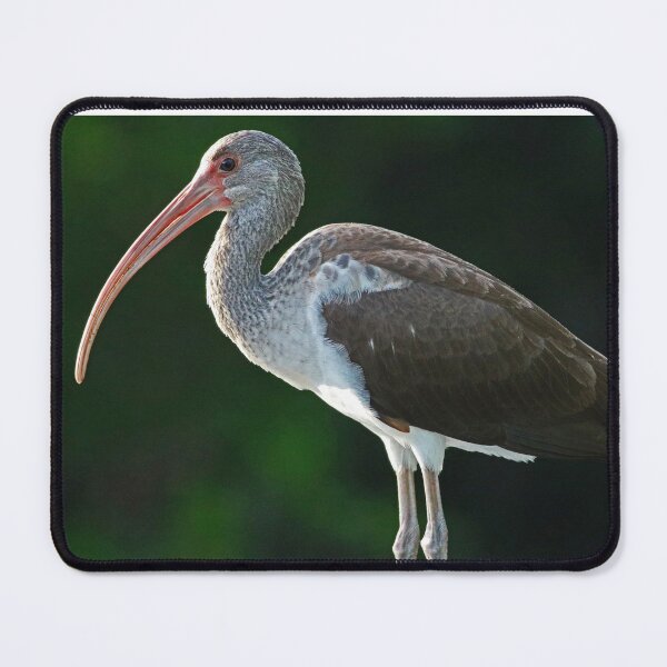 Item preview, Slipping Away designed and sold by Michiale.