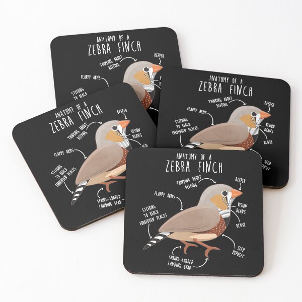 Item preview, Zebra Finch Anatomy designed and sold by Clara Hollins.