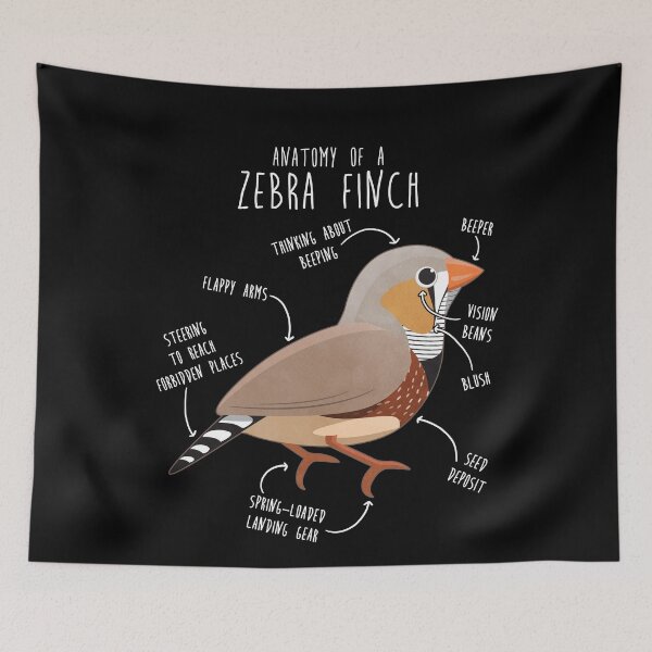 Item preview, Zebra Finch Anatomy designed and sold by Clara Hollins.