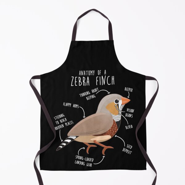 Item preview, Zebra Finch Anatomy designed and sold by Clara Hollins.