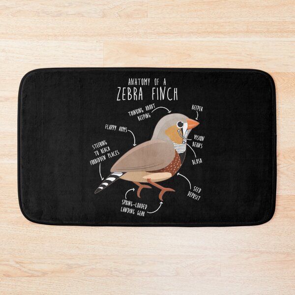 Item preview, Zebra Finch Anatomy designed and sold by Clara Hollins.