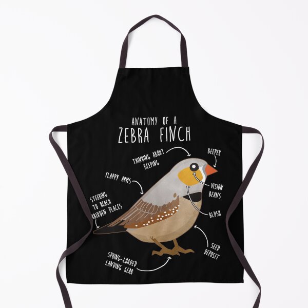 Item preview, Zebra Finch Anatomy designed and sold by Clara Hollins.