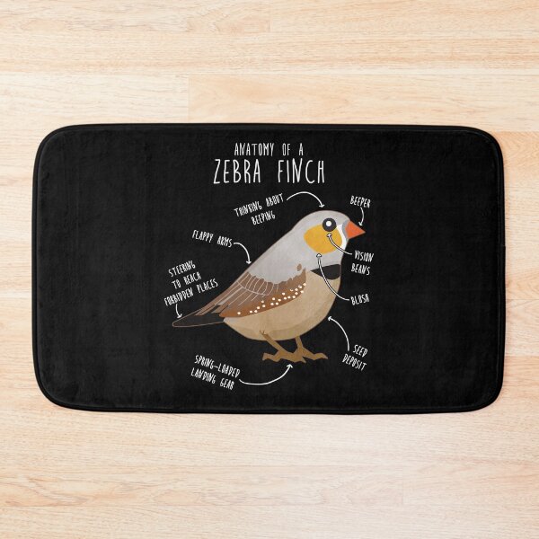 Item preview, Zebra Finch Anatomy designed and sold by Clara Hollins.