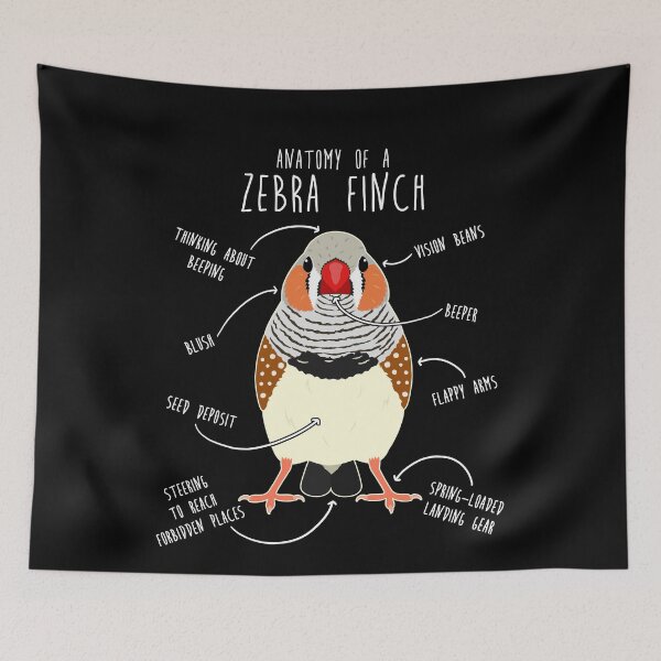 Item preview, Zebra Finch Anatomy designed and sold by Clara Hollins.