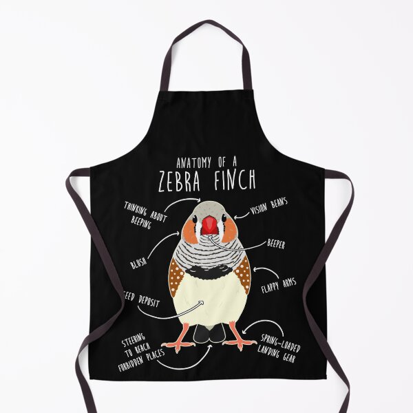 Item preview, Zebra Finch Anatomy designed and sold by Clara Hollins.