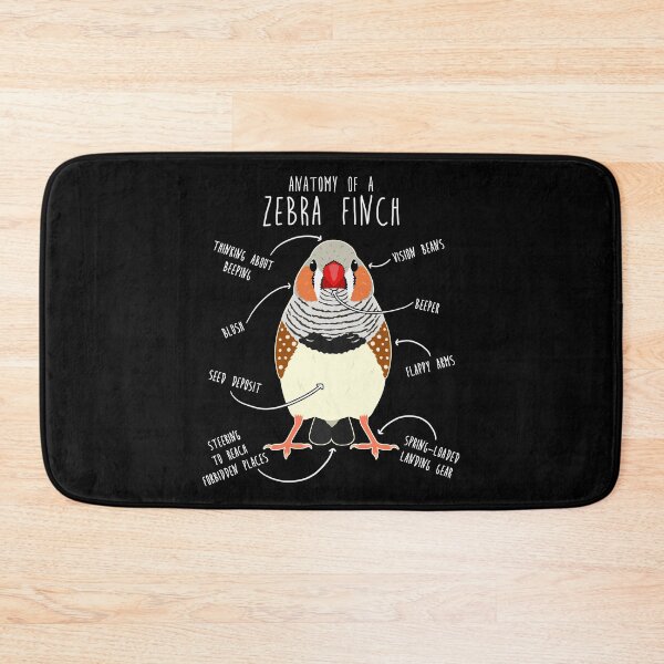 Item preview, Zebra Finch Anatomy designed and sold by Clara Hollins.