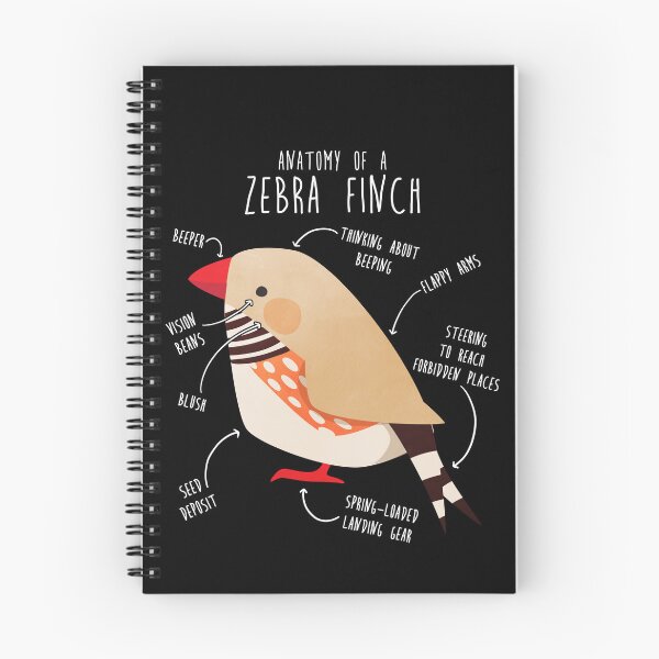 Item preview, Fawn Zebra Finch Anatomy designed and sold by Clara Hollins.