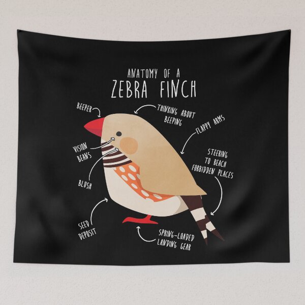 Item preview, Fawn Zebra Finch Anatomy designed and sold by Clara Hollins.