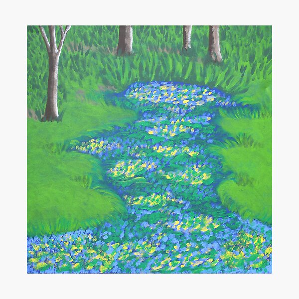 SPARKLE'S GARDEN Photographic Print